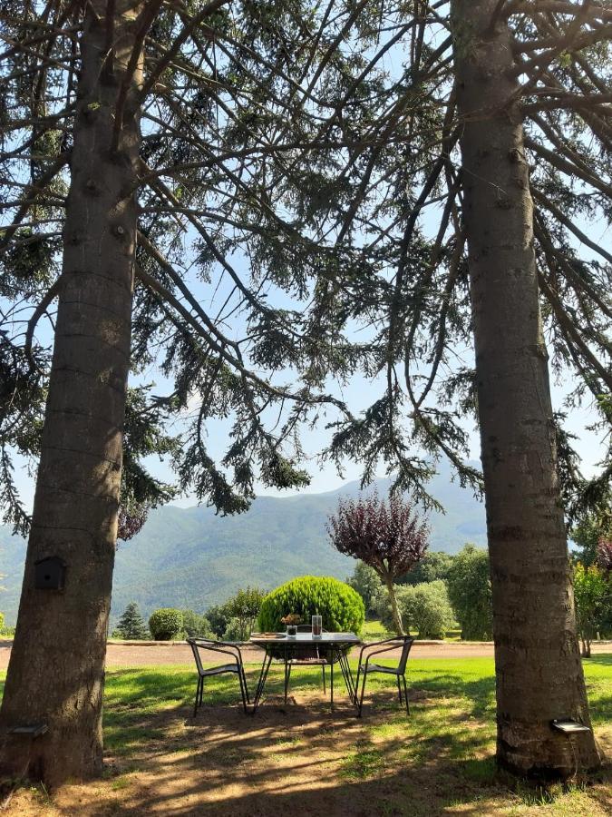 Casa Les Espelmes Villa Arbúcies Kültér fotó